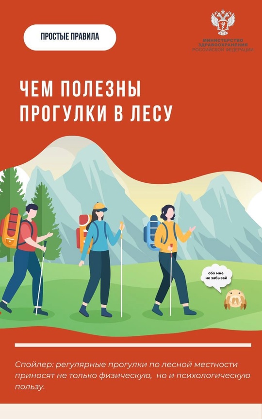 #ПростыеПравила: Чем полезны прогулки в лесу