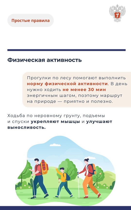 #ПростыеПравила: Чем полезны прогулки в лесу