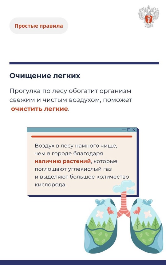 #ПростыеПравила: Чем полезны прогулки в лесу