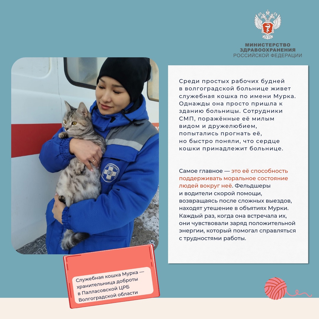 Медкотики России В эту пятницу мы предлагаем вам расслабиться после рабочей недели и поймать дзен.