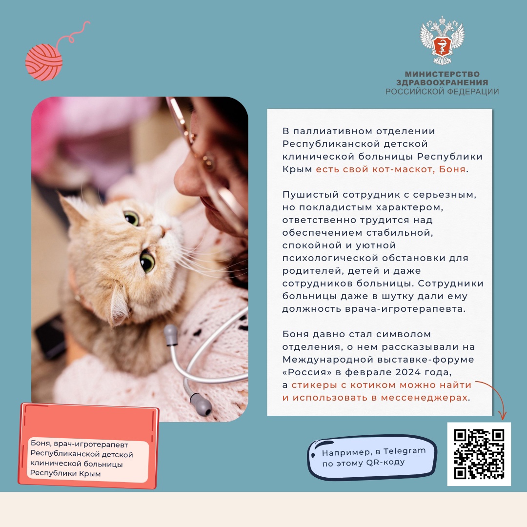 Медкотики России В эту пятницу мы предлагаем вам расслабиться после рабочей недели и поймать дзен.