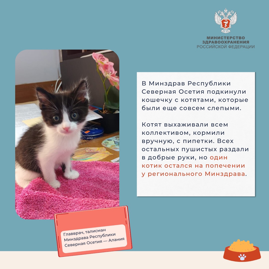 Медкотики России В эту пятницу мы предлагаем вам расслабиться после рабочей недели и поймать дзен.