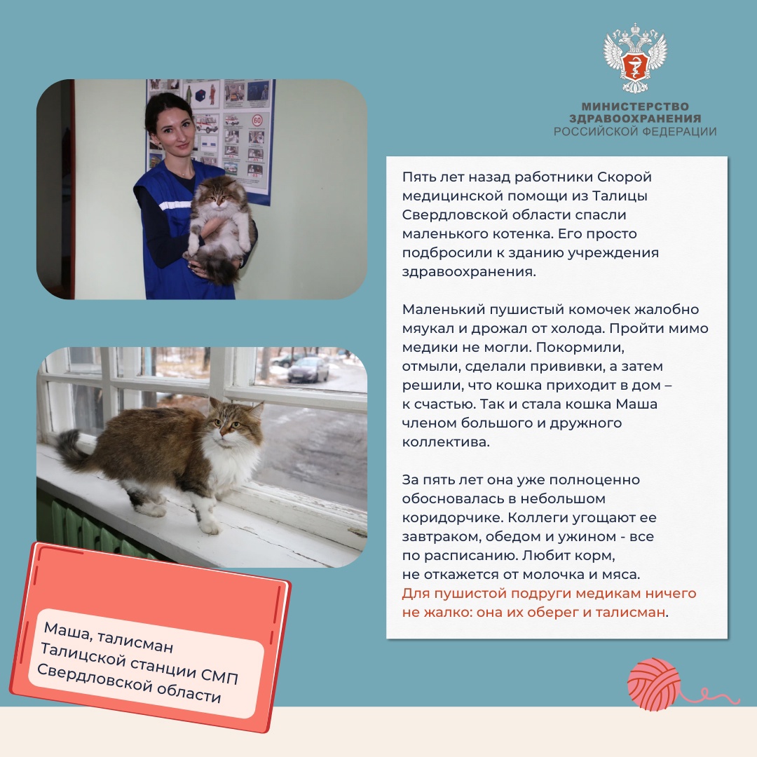 Медкотики России В эту пятницу мы предлагаем вам расслабиться после рабочей недели и поймать дзен.