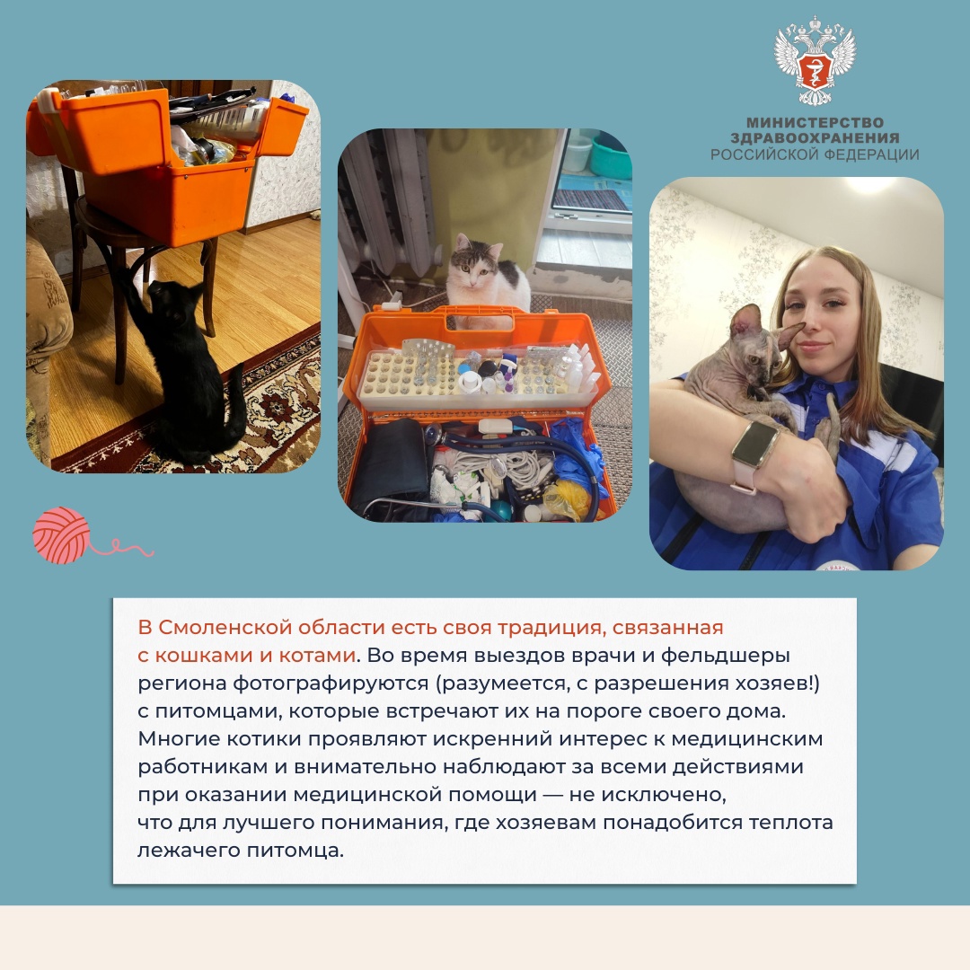 Медкотики России В эту пятницу мы предлагаем вам расслабиться после рабочей недели и поймать дзен.