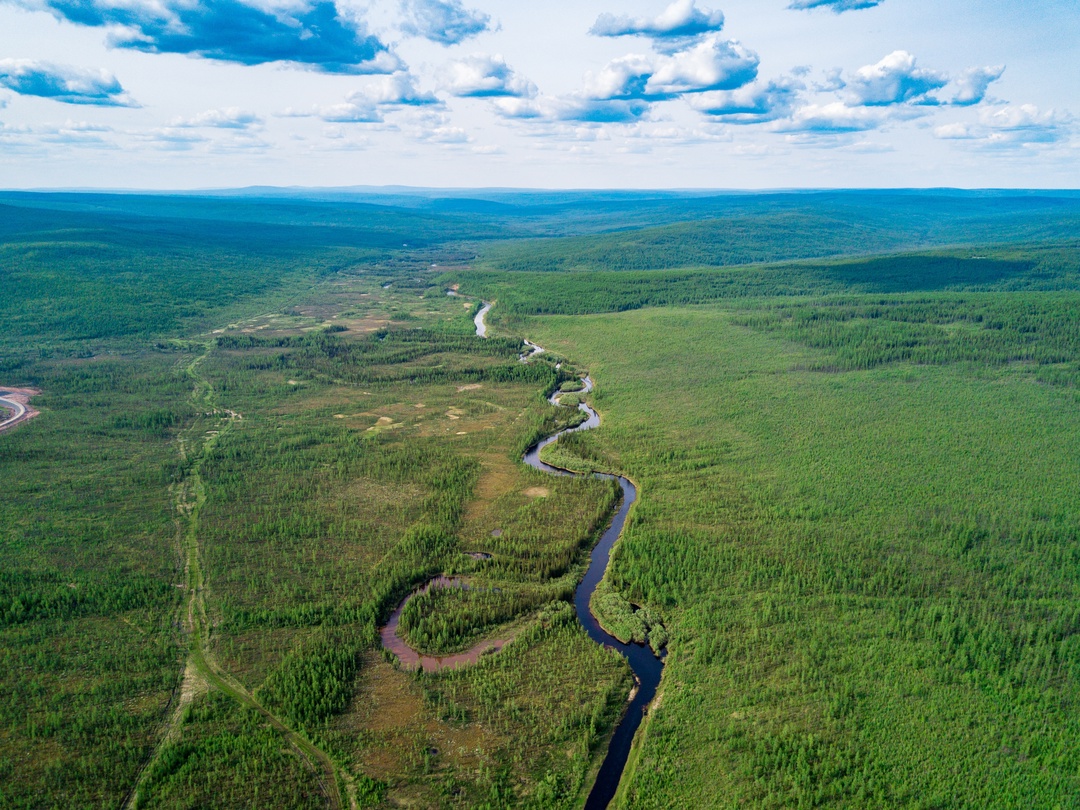 Зелёные рекорды 2024 года В 2024 году «Роснефть» высадила почти 11 миллионов деревьев — только представьте, это как 4,5 тысячи футбольных полей!