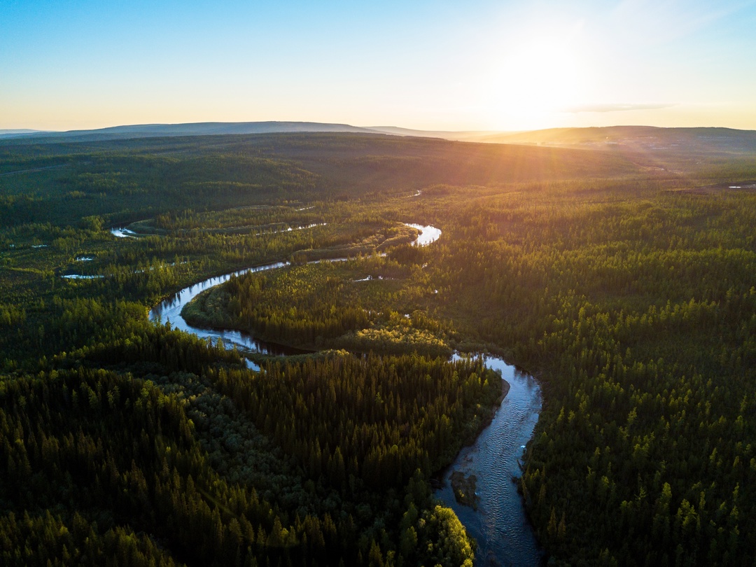 Зелёные рекорды 2024 года В 2024 году «Роснефть» высадила почти 11 миллионов деревьев — только представьте, это как 4,5 тысячи футбольных полей!