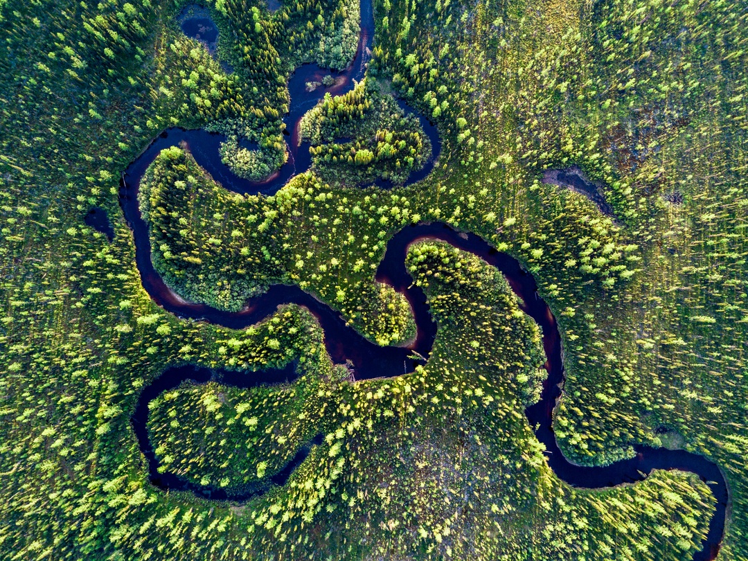 Зелёные рекорды 2024 года В 2024 году «Роснефть» высадила почти 11 миллионов деревьев — только представьте, это как 4,5 тысячи футбольных полей!