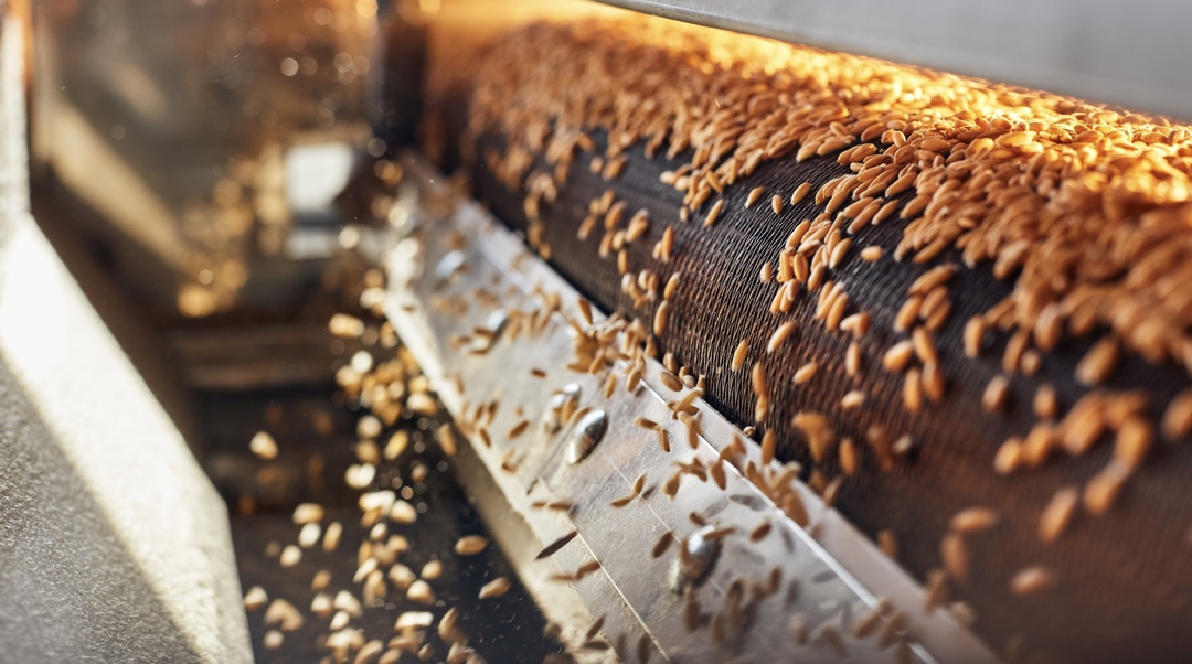 Власти Воронежской области ищут инвесторов для строительства завода по глубокой переработке зерна и масличных культур