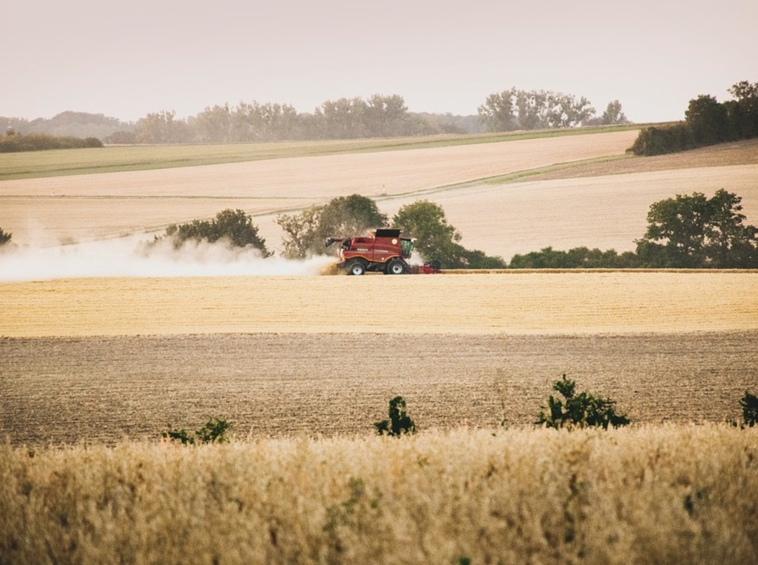 Самое интересное за неделю с 31 марта по 6 апреля