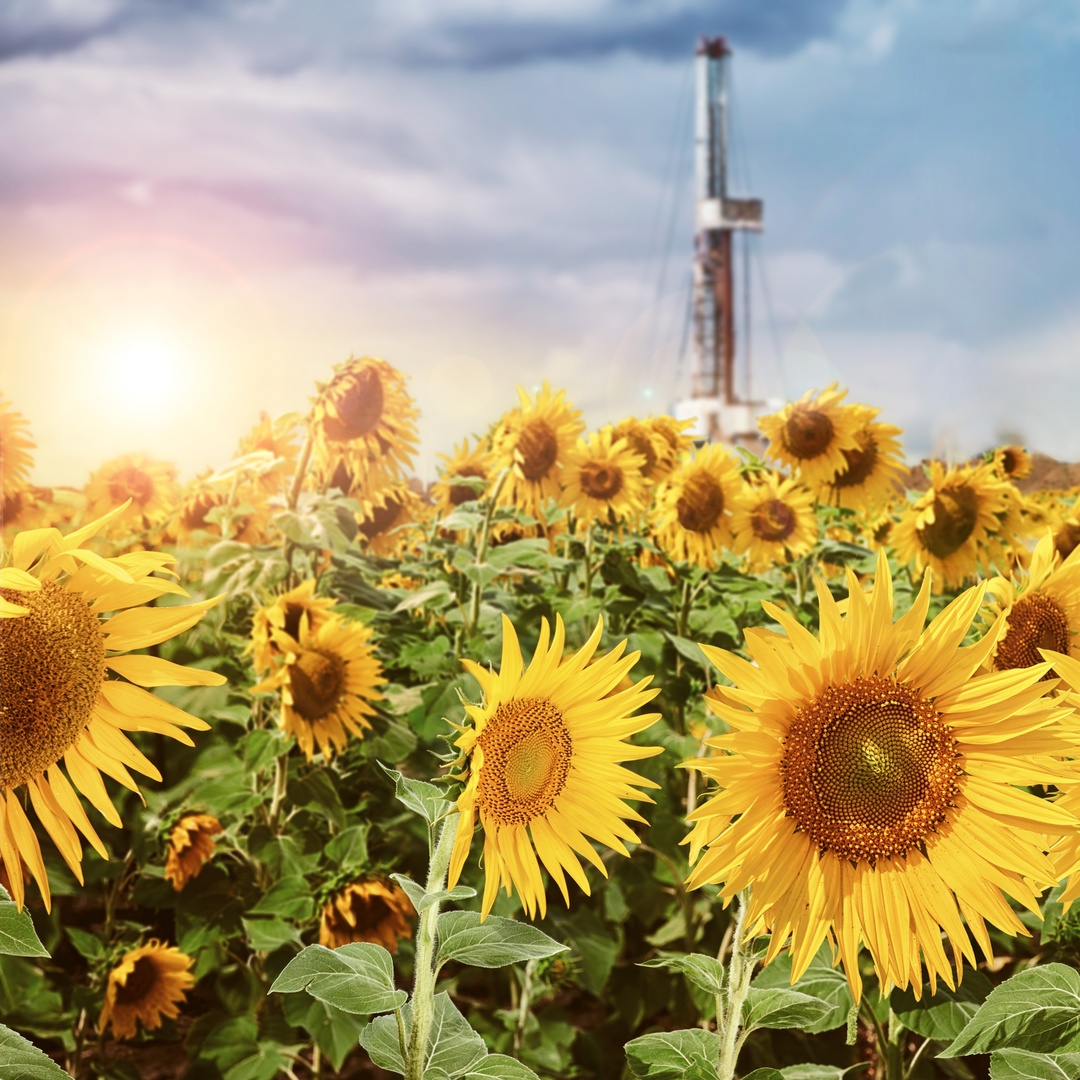 «Мне всегда было интересно, как устроены механизмы, легко давалась работа инструментами», — рассказывает Сергей Антонов, слесарь на нашем месторождении в…