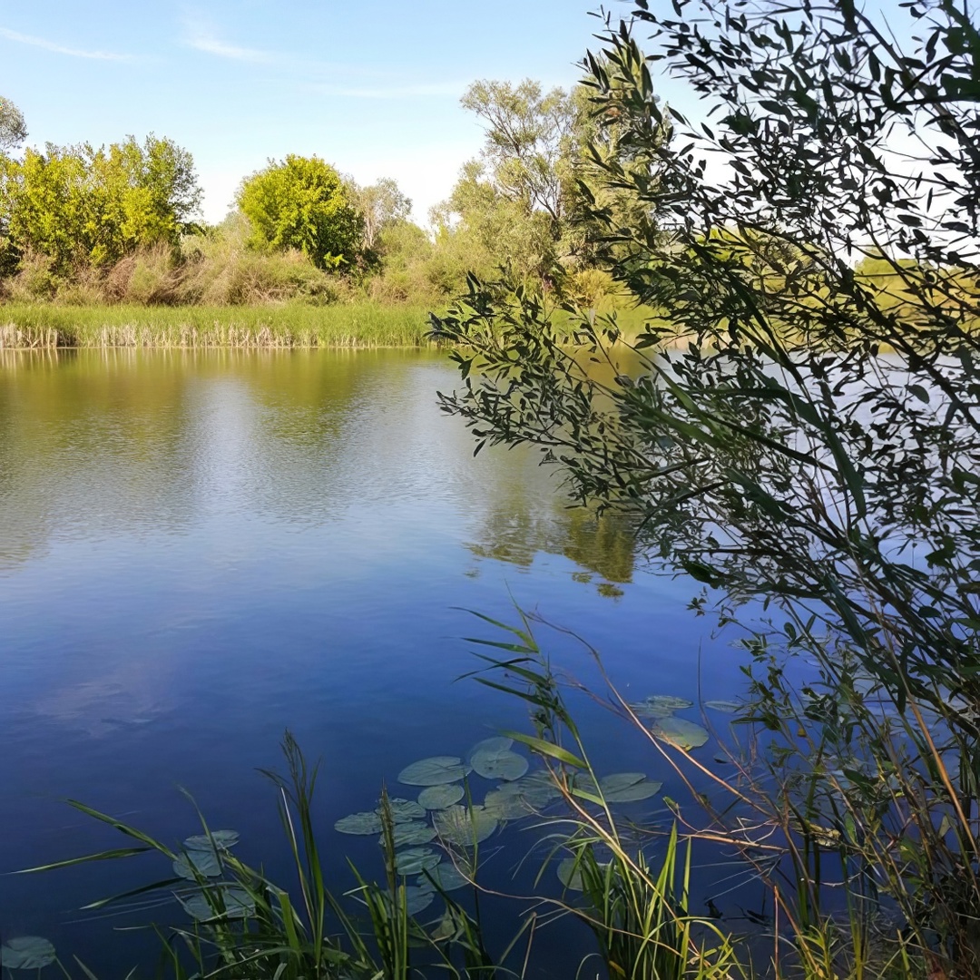 «Мне всегда было интересно, как устроены механизмы, легко давалась работа инструментами», — рассказывает Сергей Антонов, слесарь на нашем месторождении в…