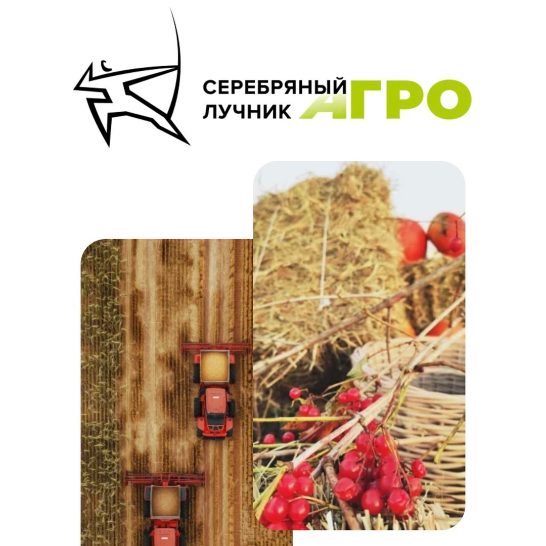 Подведены итоги премии «Серебряный Лучник – Агро»