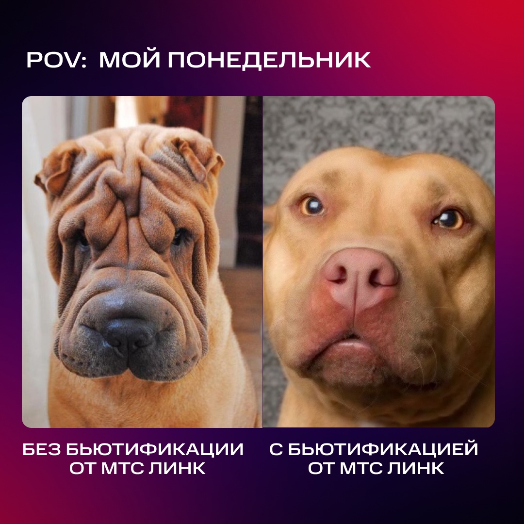 Моё бьюти утро Представляем вам функцию бьютификации в МТС Линк , благодаря которой вы можете выглядеть великолепно на синках (не только по понедельникам).