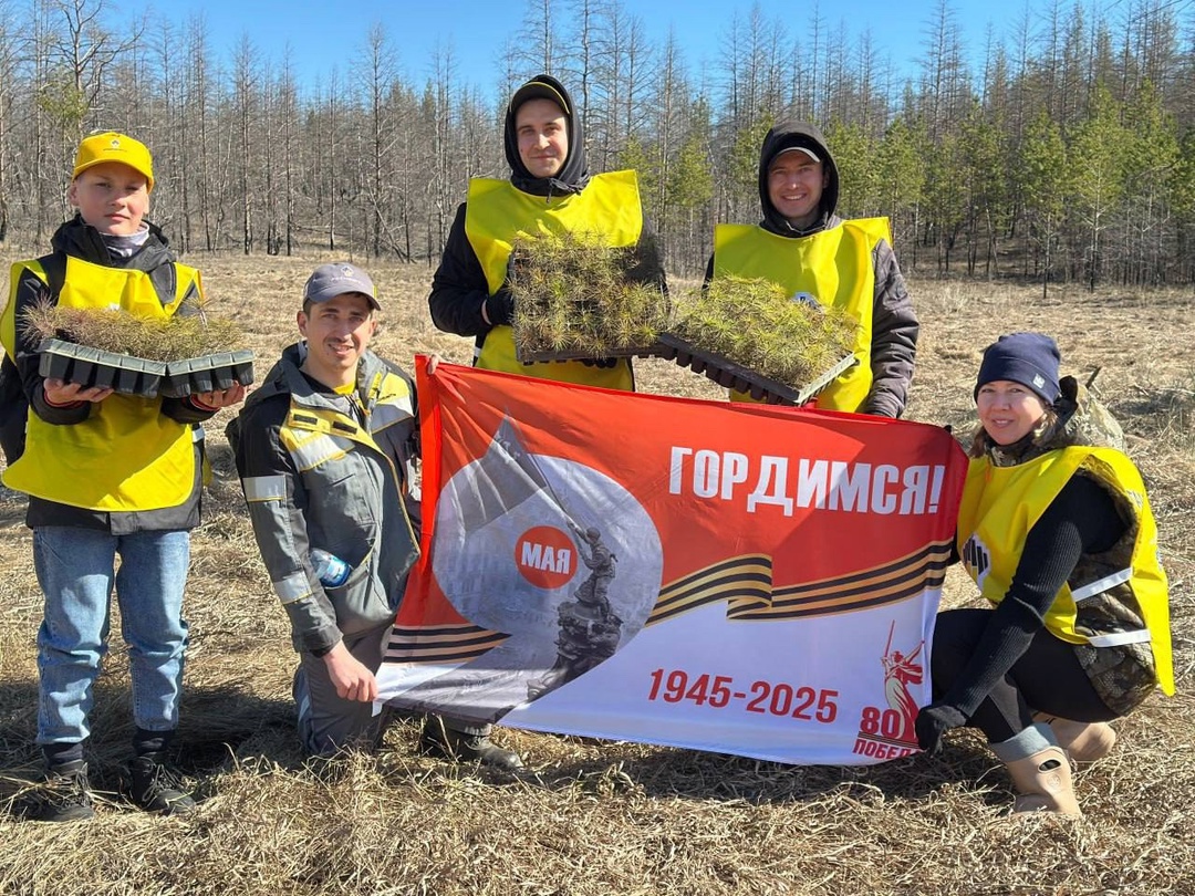 Сад в Оренбуржье: памяти героям Волонтёры «Оренбургнефти» вместе с семьями в честь 80-летия Победы высадили более 10 тысяч сосен в «Бузулукском бору».