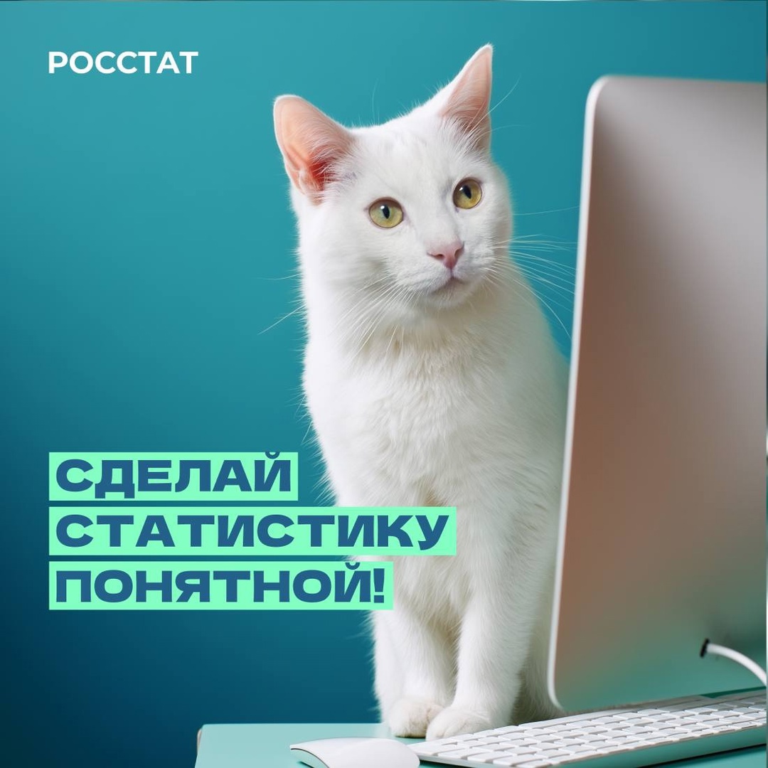 Как вы знаете, я веду рубрику #Котистика, где помогаю разбираться в статистике