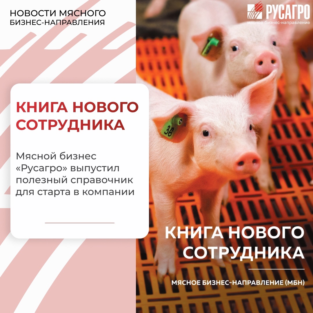 Мясной бизнес Группы компаний «Русагро» выпустил Книгу нового сотрудника — практический справочник с актуальной информацией о компании, корпоративной культуре,…