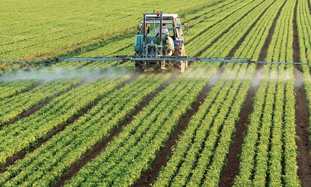 Российские химические компании в 2024 году реализовали на отечественном рынке 164 тыс. т пестицидов, что на 12% больше, чем годом ранее, сообщила компания…