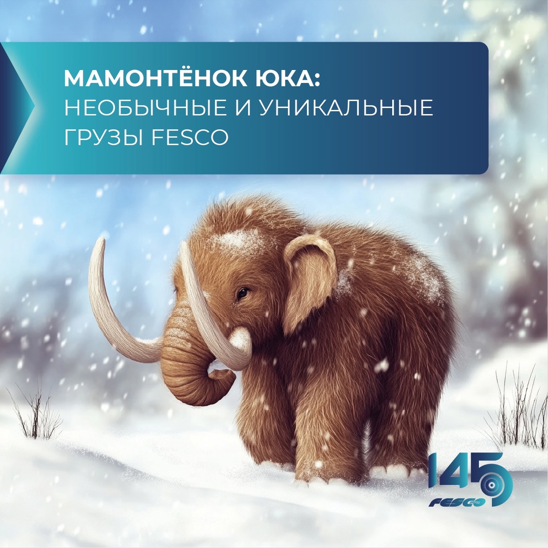 Да, мы когда-то перевозили мамонтёнка!