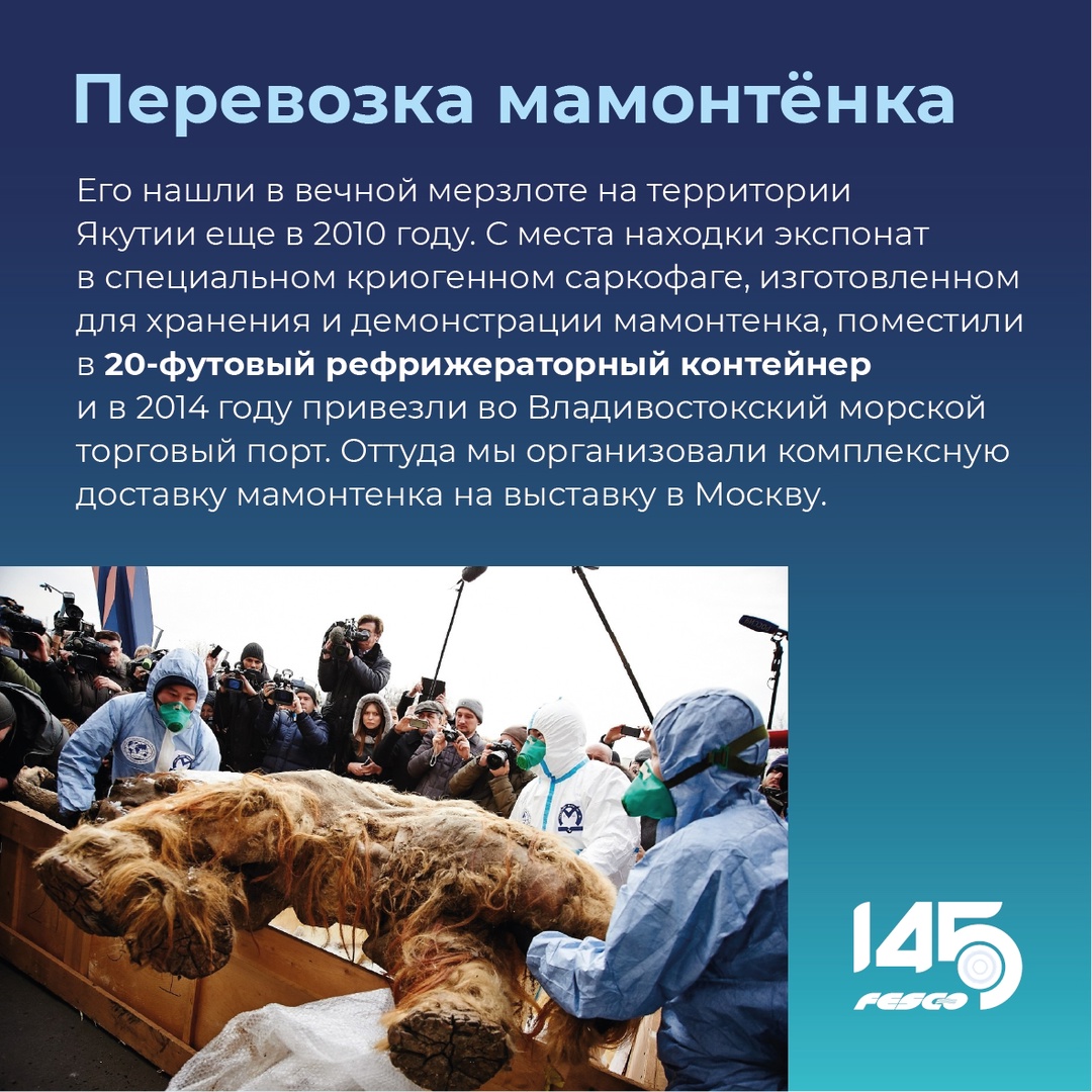 Да, мы когда-то перевозили мамонтёнка!