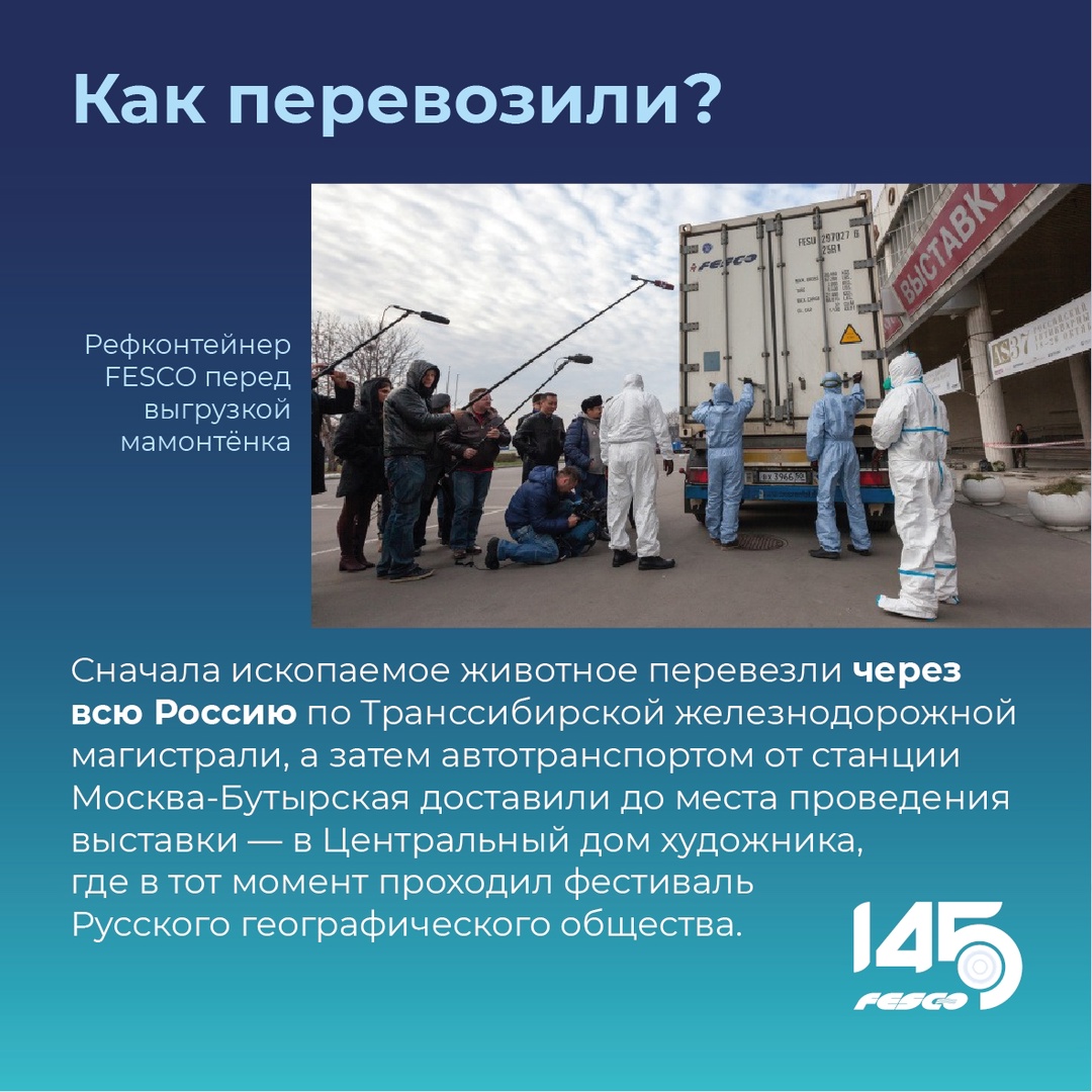 Да, мы когда-то перевозили мамонтёнка!