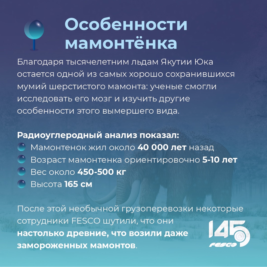 Да, мы когда-то перевозили мамонтёнка!