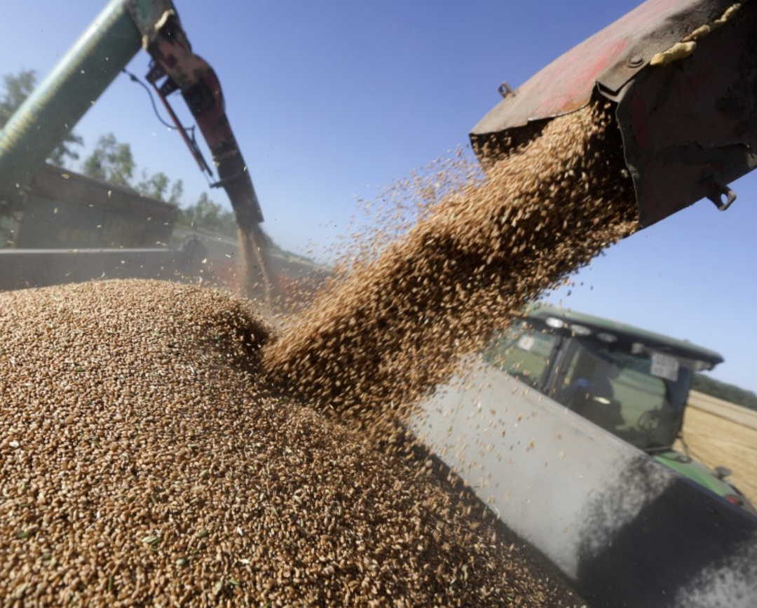 Экспортеры зерна могут подать заявление на уменьшение распределенной им части экспортной квоты через портал «Госуслуги», напомнил Минсельхоза