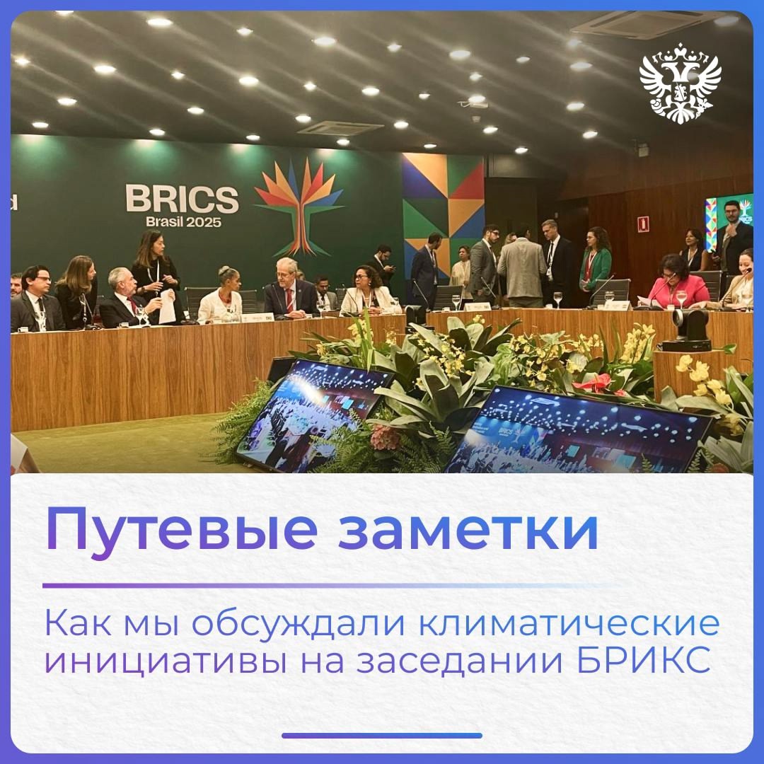 Ка-пи-ба-ра, климат и БРИКС — привет из солнечной Бразилиа