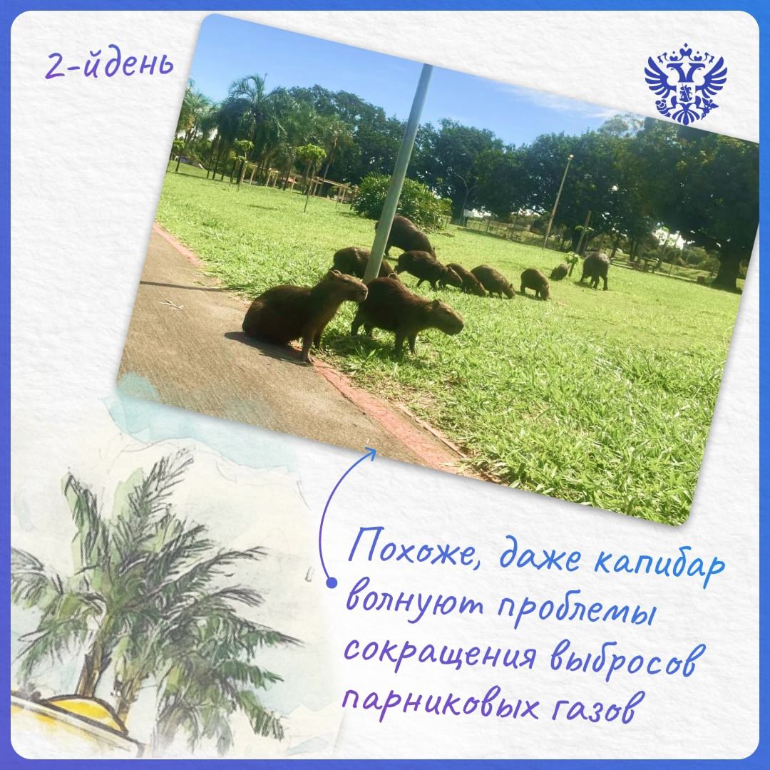 Ка-пи-ба-ра, климат и БРИКС — привет из солнечной Бразилиа