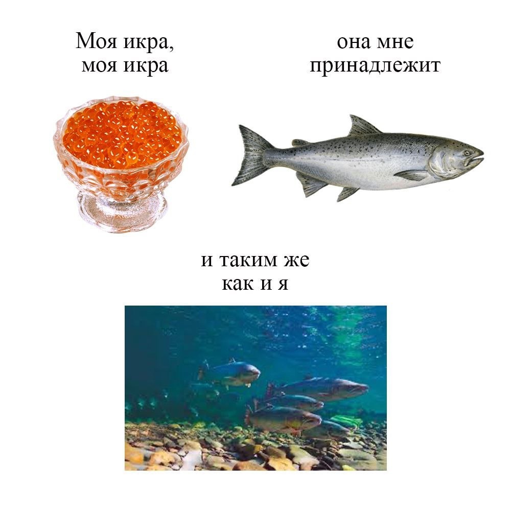 Вечер – самое время поговорить об икре