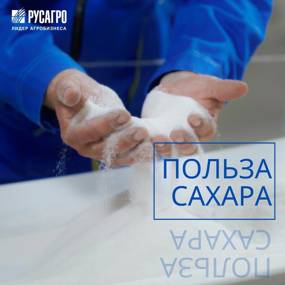 Польза сахара: научные и ненаучные факты