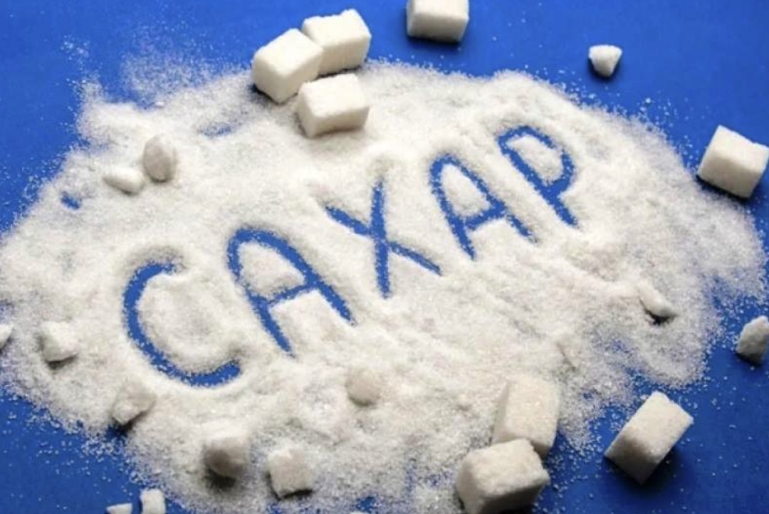 Объем биржевых торгов сахаром на Национальной товарной биржей (НТБ) в 2024 году составил 369,16 тыс. т, что почти на треть больше, чем в 2023-м (279,1 тыс. т),…