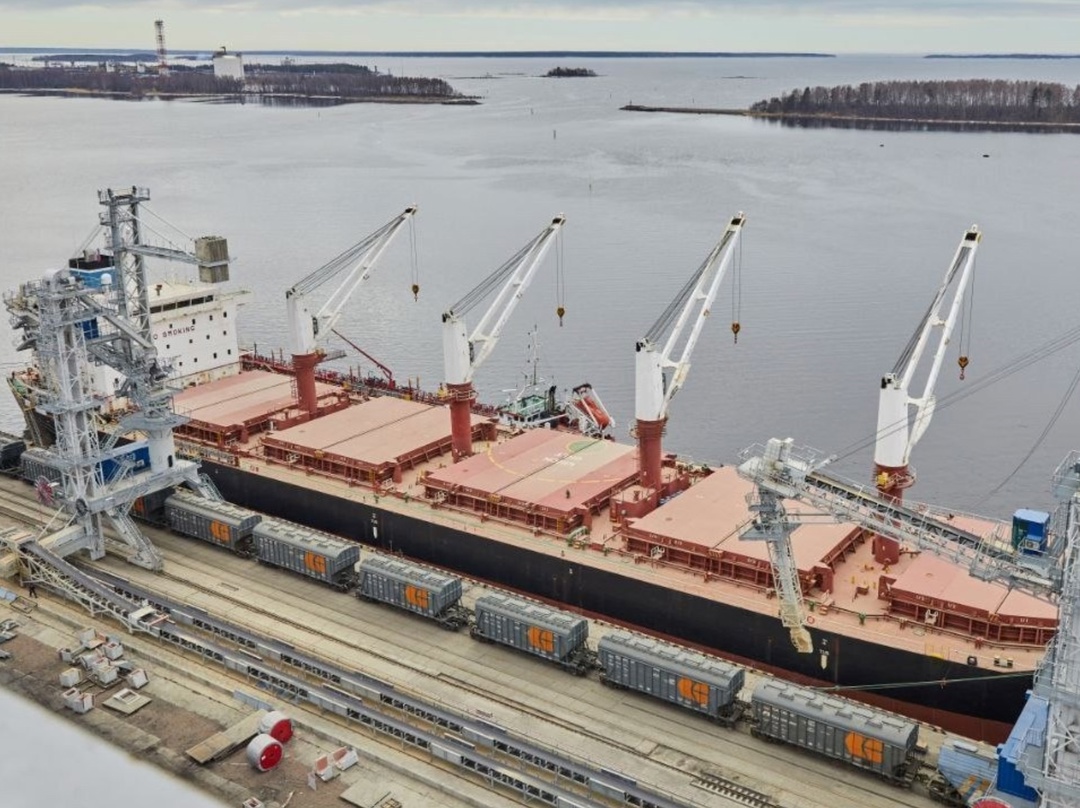 Иностранная сельскохозяйственная служба Минсельхоза США (FAS USDA) в своем апрельском отчете вновь понизила прогноз экспорта пшеницы из России в этом сезоне –…