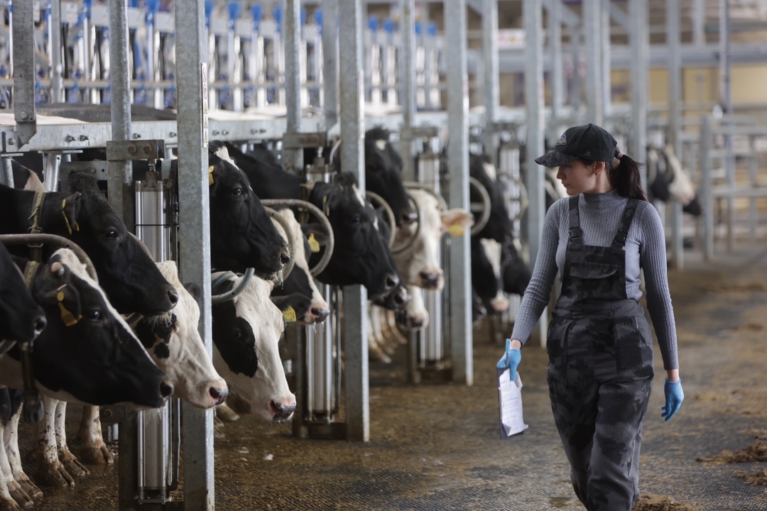 Оксана Лут ознакомилась с развитием АПК Саратовской области