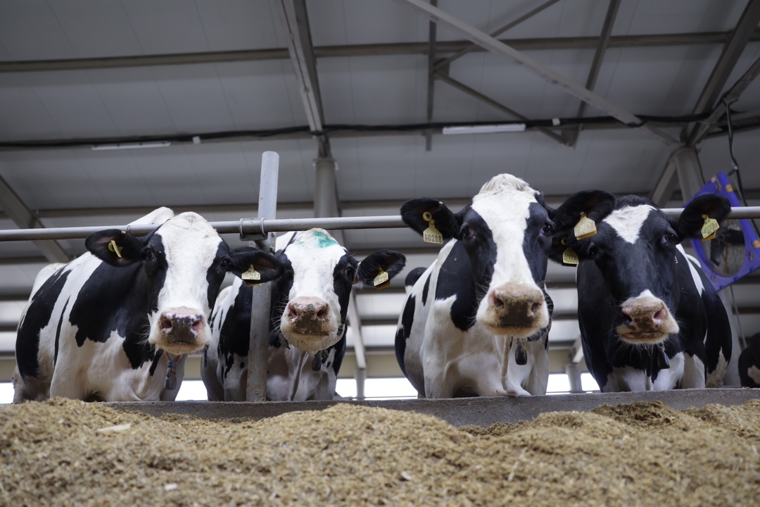 Оксана Лут ознакомилась с развитием АПК Саратовской области