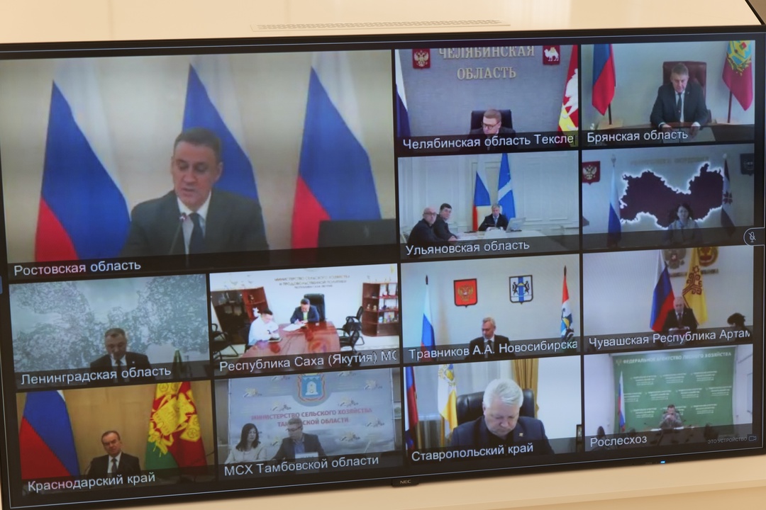 Оксана Лут рассказала на Всероссийском совещании о ходе весенних полевых работ в ПФО