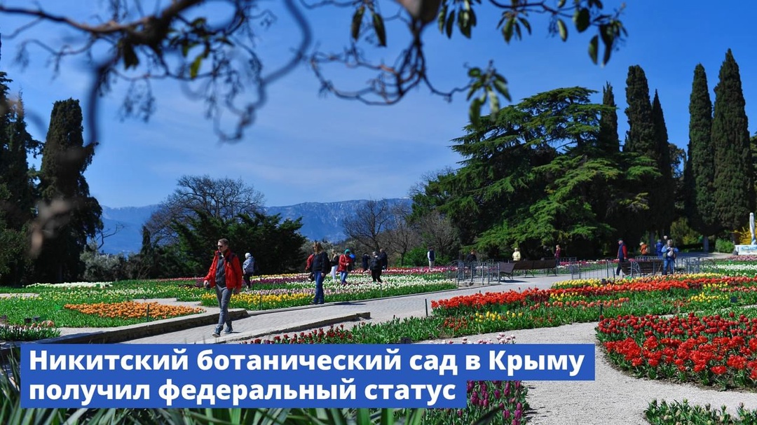Никитский ботанический сад в Крыму получил статус ботанического сада федерального значения