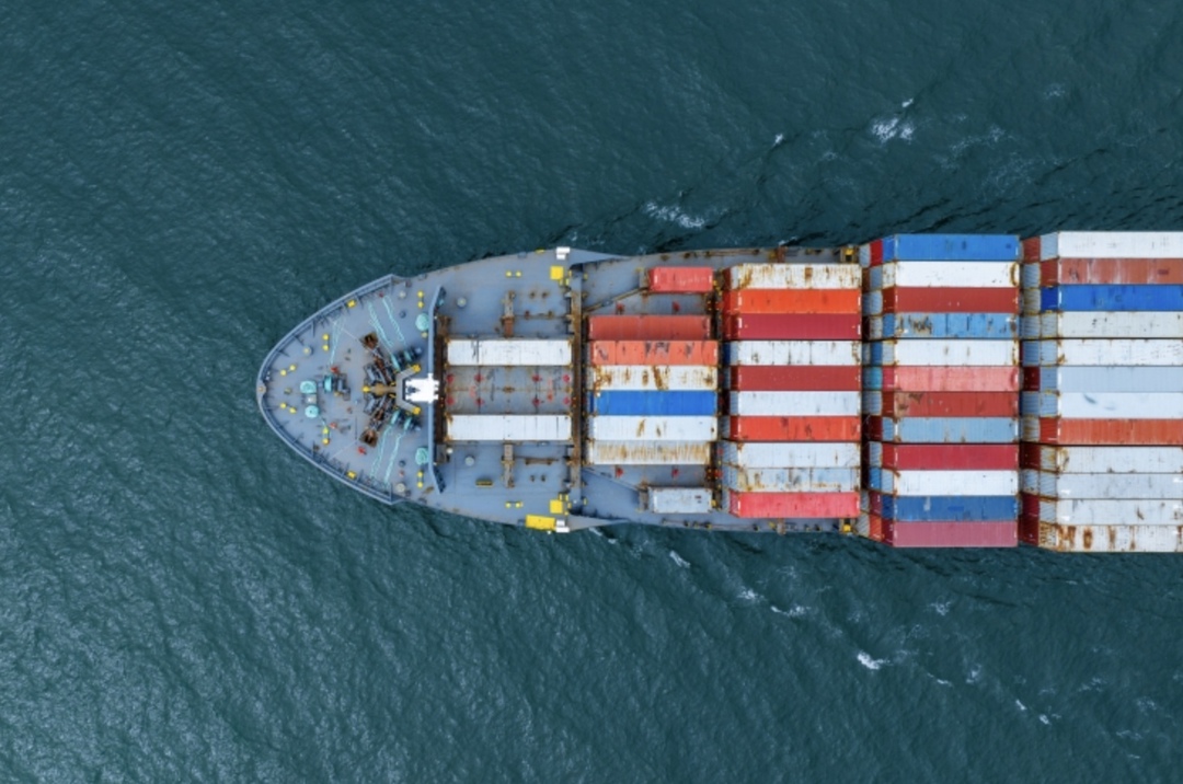 Экспорт российской продукции агропромышленного комплекса по итогам 2024 года составил 109 млн т, сказала министр сельского хозяйства Оксана Лут в интервью…