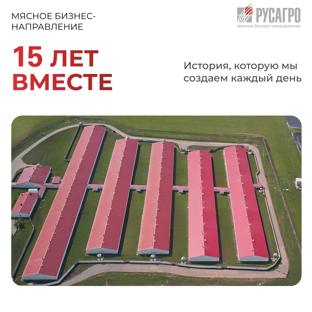 В этом году Мясной бизнес «Русагро» отмечает 15-летие — важную дату в нашей истории