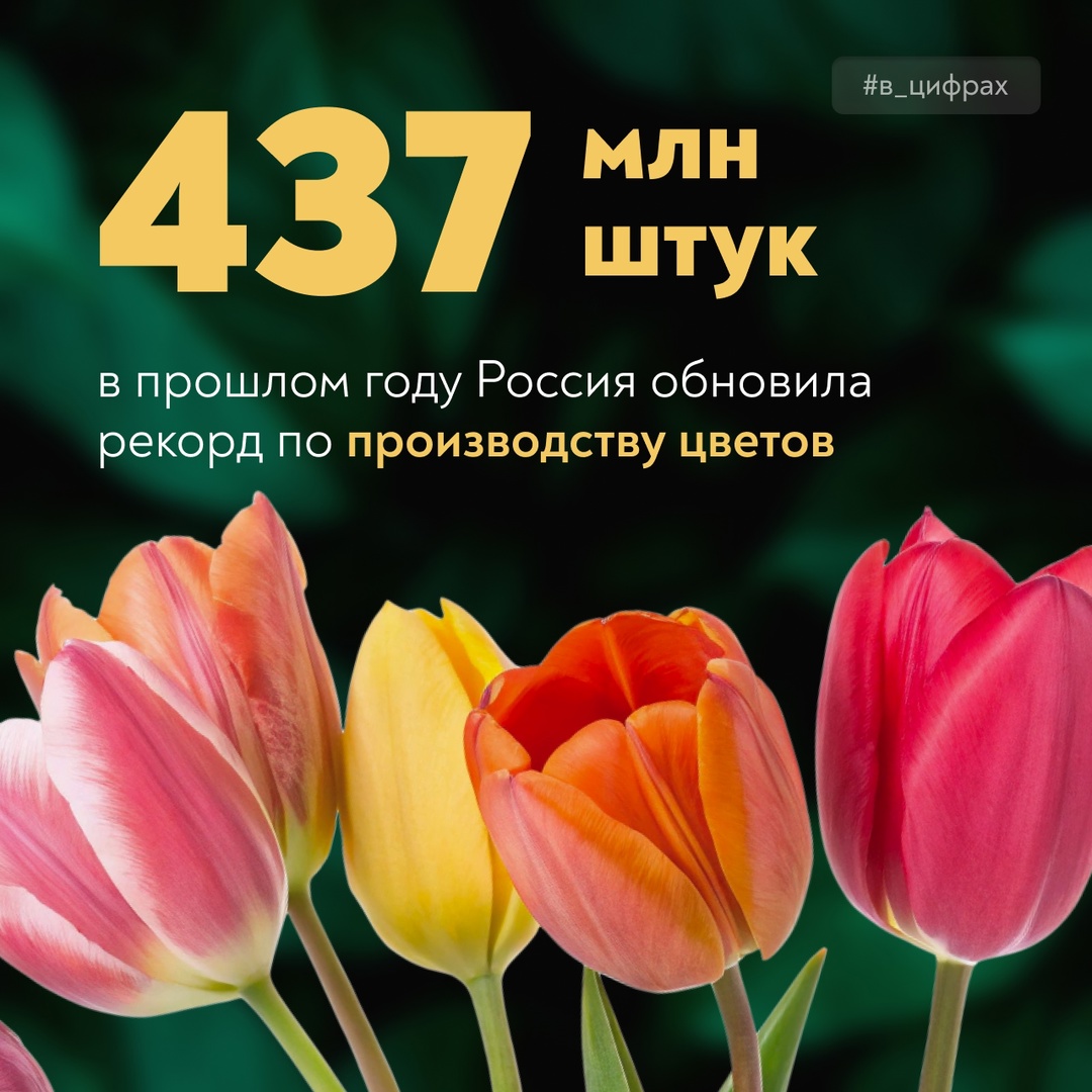 В фокусе внимания – цветоводство Глава Минсельхоза Оксана Лут обсудила развитие промышленного цветоводства с представителями профильного бизнеса и науки.