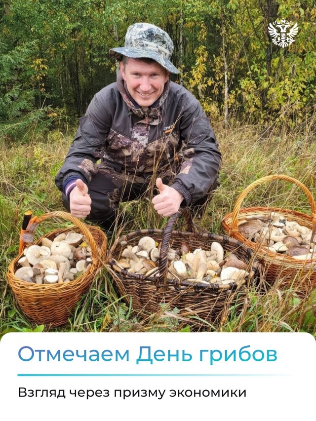 ‍От леса до фермы: как российские производители делают День грибов особенным
