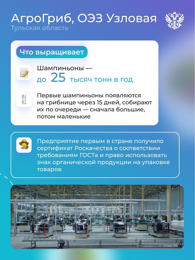 ‍От леса до фермы: как российские производители делают День грибов особенным