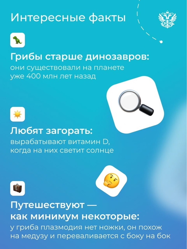 ‍От леса до фермы: как российские производители делают День грибов особенным