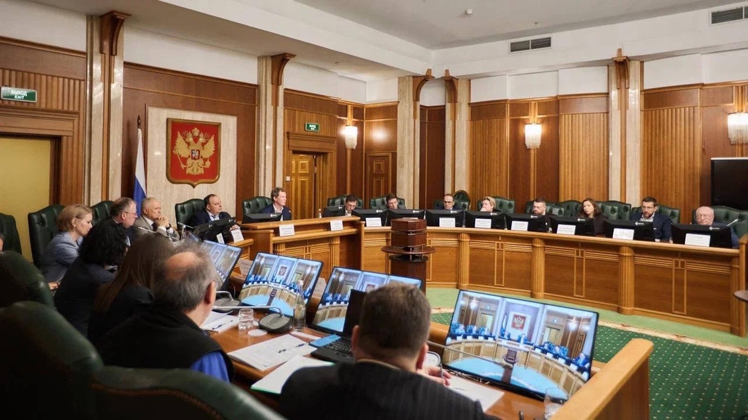 Актуальные вопросы о налоге на профессиональный доход обсудили на заседании Общественного совета при ФНС России