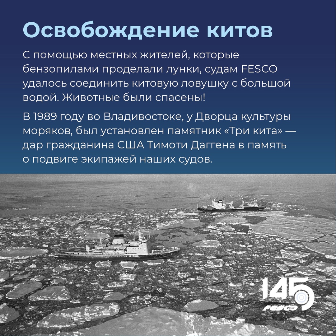 Спасение китов: событие, которое никого не оставило равнодушным
