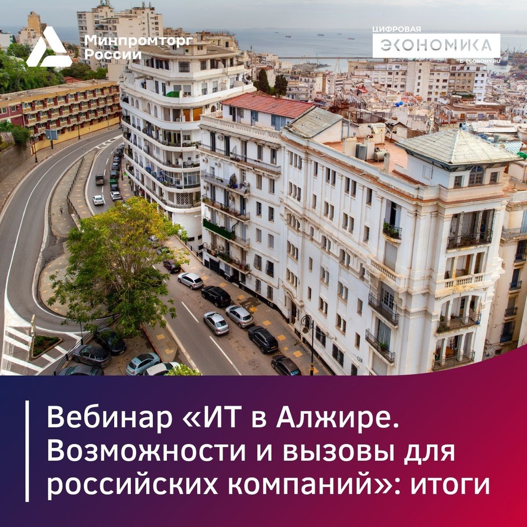 Делимся итогами вебинара о потребностях целевых рынков Алжира