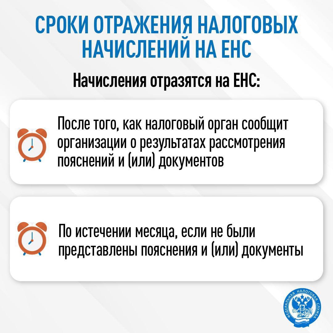За 2024 год налоговые органы направили организациям 812 тыс. сообщений об исчисленных суммах налогов на имущество