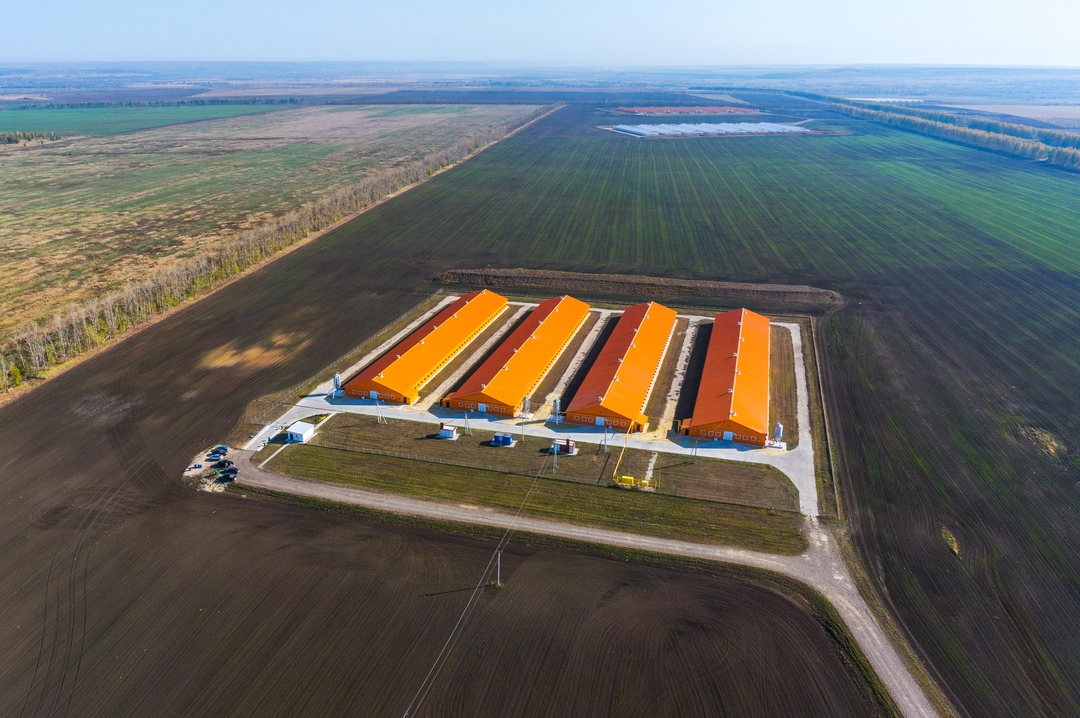 Группа компаний «Дамате» по итогам первого квартала на 22% увеличила объем поголовья индейки на участке выращивания в Ростовской области по сравнению с…