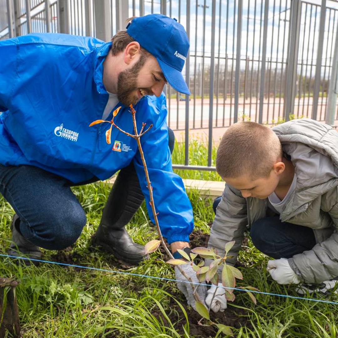 Сосны — под Калининградом, березы и липы — в Дагестане, а в Краснодарском крае — яркая фотиния