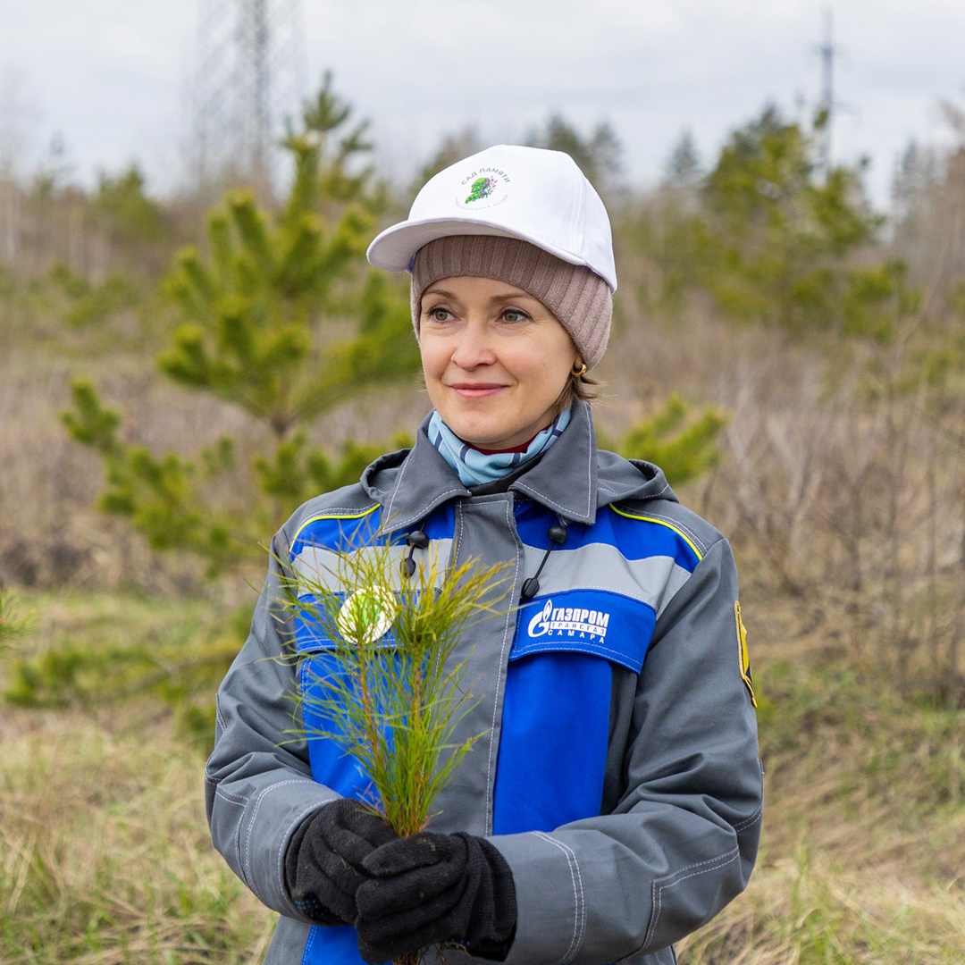 Сосны — под Калининградом, березы и липы — в Дагестане, а в Краснодарском крае — яркая фотиния