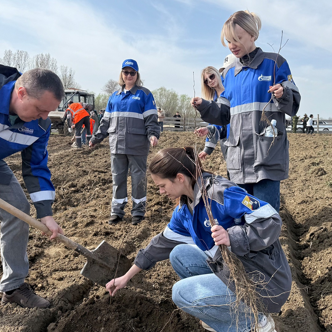 Сосны — под Калининградом, березы и липы — в Дагестане, а в Краснодарском крае — яркая фотиния
